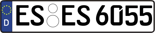ES-ES6055