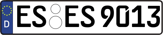 ES-ES9013