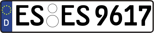 ES-ES9617