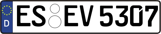 ES-EV5307
