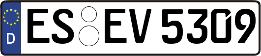 ES-EV5309