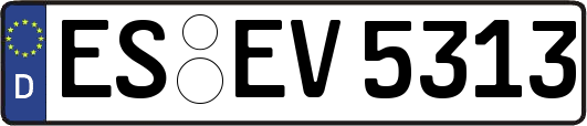 ES-EV5313