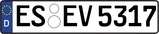 ES-EV5317