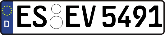 ES-EV5491