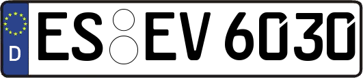 ES-EV6030
