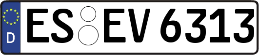 ES-EV6313