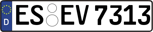 ES-EV7313