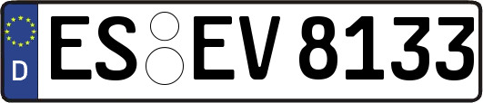 ES-EV8133