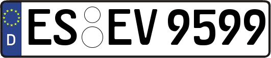 ES-EV9599