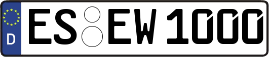 ES-EW1000
