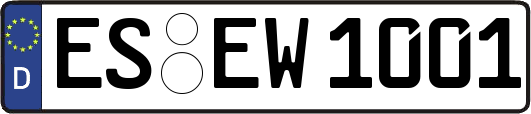 ES-EW1001