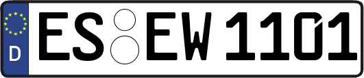 ES-EW1101