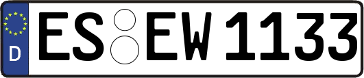 ES-EW1133