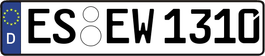 ES-EW1310
