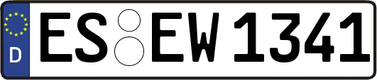 ES-EW1341