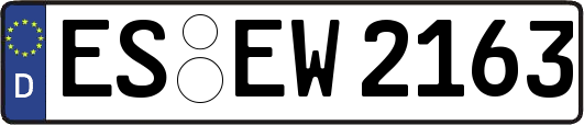 ES-EW2163