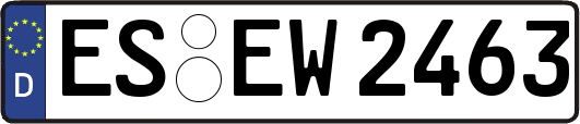 ES-EW2463