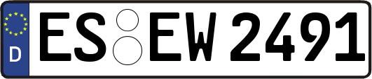 ES-EW2491