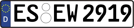 ES-EW2919