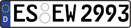 ES-EW2993