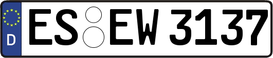 ES-EW3137