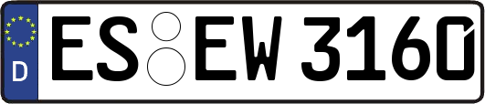 ES-EW3160