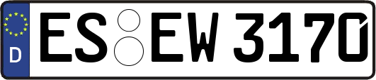 ES-EW3170