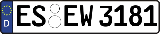 ES-EW3181