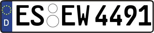 ES-EW4491