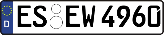 ES-EW4960