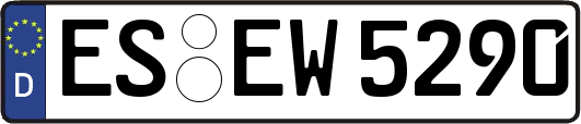 ES-EW5290