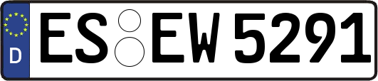 ES-EW5291