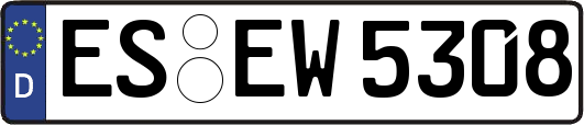 ES-EW5308