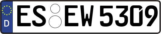ES-EW5309