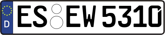 ES-EW5310