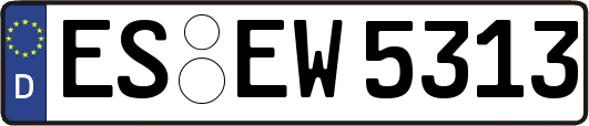 ES-EW5313