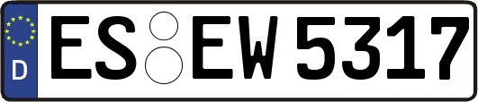 ES-EW5317
