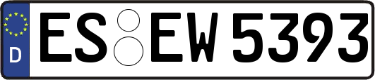 ES-EW5393