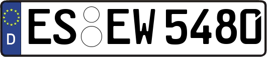 ES-EW5480
