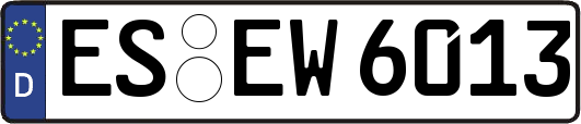 ES-EW6013