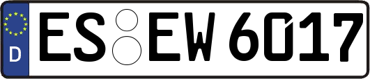 ES-EW6017