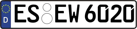 ES-EW6020