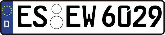 ES-EW6029