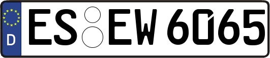 ES-EW6065