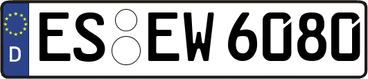 ES-EW6080