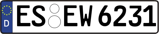 ES-EW6231