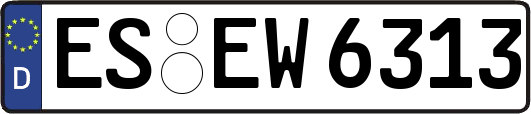 ES-EW6313
