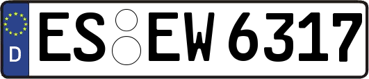 ES-EW6317