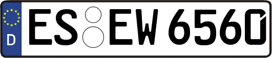 ES-EW6560