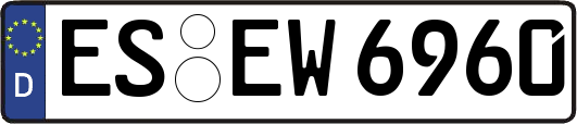 ES-EW6960